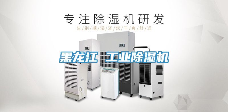 黑龍江 工業除濕機